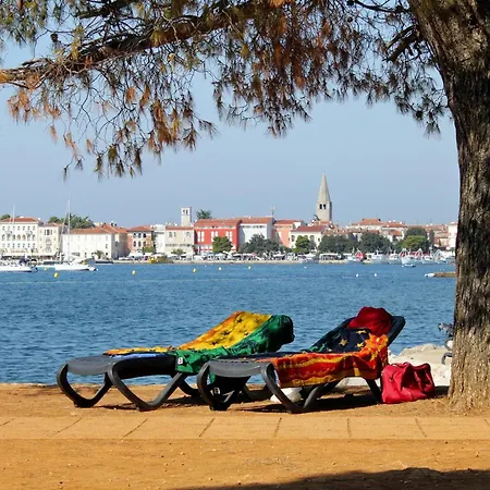 House With A Swimming Pool - 23000 Porec